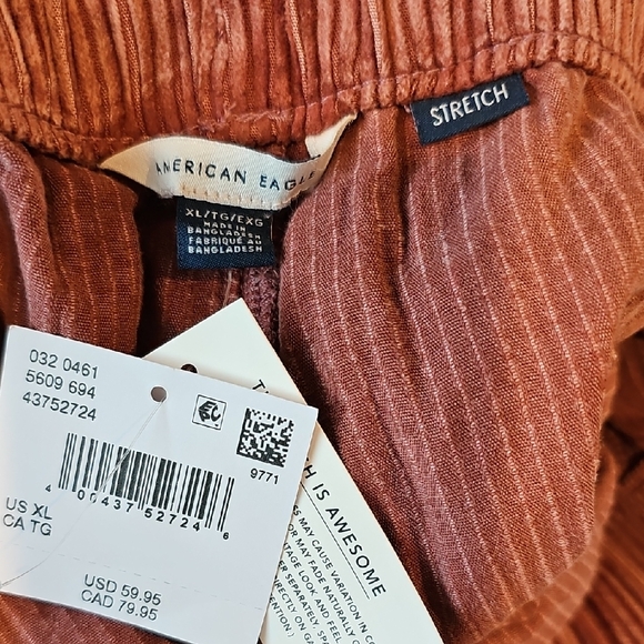 American Eagle Stretch Corduroy Low-Rise Baggy Wide Leg Pant - Picture 5 of 5